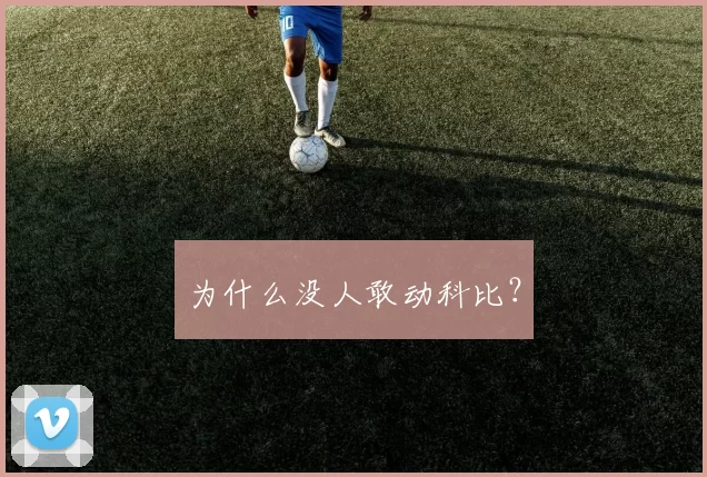 为什么没人敢动科比？