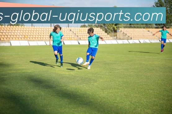 u球体育平台生态图